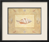 Shells I Poster av Bell Shells I Poster av Bell
