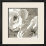 Poppy Study III Pósters por Sondra Wampler Poppy Study III Pósters por Sondra Wampler