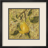 Fruit Panel II Prints by Kris 