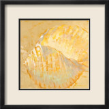 Shoreline Shells IV Affiches par Lorraine Vail