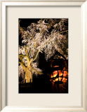 Kyoto in Spring, Cherry Blossoms in the Evening Prints by Takashi Kirita