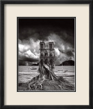 Stumped Poster av Thomas Barbey Stumped Poster av Thomas Barbey