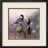 Chickadee and Milkweed Affiches par Russ Cobane