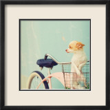 Dog Gone Poster von Mandy Lynne