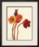 Tulipan II Láminas por Shirley Novak