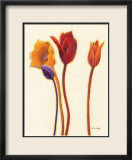 Tulipan III Póster por Shirley Novak