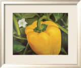 Vegetable Garden I Posters by Bethany Wilson