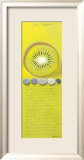 Capecod Kiwi Prints by Chantal Godbout