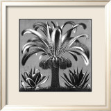Palm, c.1933 Prints by M. C. Escher