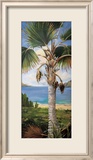 Fan Palm Posters by Deborah Thompson