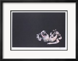 Chaussons de danse Reproduction encadrée édition limitée par Harvey Edwards