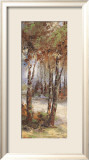River Birch I Plakater av Cory Bannister River Birch I Plakater av Cory Bannister