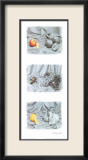 Trio de fruits II Affiche par Gilles Martin-Raget