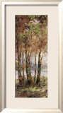 River Birch II Posters av Cory Bannister River Birch II Posters av Cory Bannister