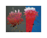 Kiku, c.1983 reproduction procédé giclée par Andy Warhol