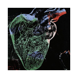 Human Heart, c.1979 (Green) Premium Giclee-trykk av Andy Warhol
