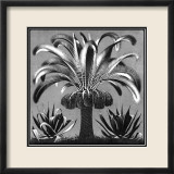 Palm, c.1933 Poster by M. C. Escher