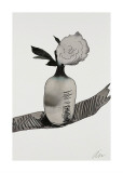 Flowers, c.1974 (White Peony) Lámina giclée por Andy Warhol