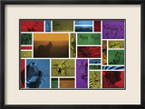 Zebra Mondrian Prints by Susann & Frank Parker