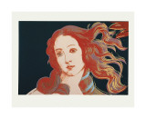 Details of Renaissance Paintings (Sandro Botticelli, Birth of Venus, 1482), c.1984 Lámina giclée por Andy Warhol Details of Renaissance Paintings (Sandro Botticelli, Birth of Venus, 1482), c.1984 Lámina giclée por Andy Warhol
