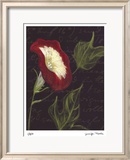 Poppy Limited Edition Framed Print by Jm Designs 