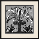 Palm, c.1933 Poster by M. C. Escher