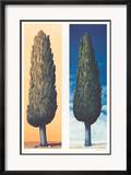 2 Zypressen Rechts, 1999 Prints by Folkert Rasch