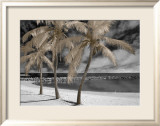 Fantasy Island Kunstdrucke von Mike Jones