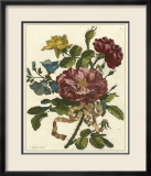 Floral Posy II Posters by Giovanni Ferrari