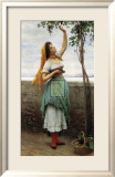 Picking Grapes Poster by Eugene de Blaas