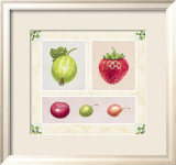 Antique Fruits Plakater av Alex Bloch Antique Fruits Plakater av Alex Bloch