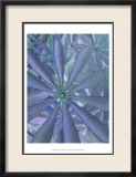 Woodland Plants in Blue II Pósters por Sharon Chandler