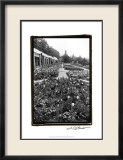 Garden Elegance VIII Affiches par Laura Denardo