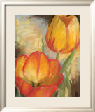 Summer Tulips II Posters av Carol Buettner Summer Tulips II Posters av Carol Buettner