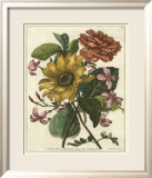Floral Posy I Poster by Giovanni Ferrari
