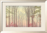 Forest Faces, no. 5.2 Plakat av Laszlo Bagi