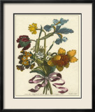 Floral Posy IV Poster by Giovanni Ferrari