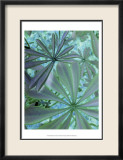 Woodland Plants in Blue III Láminas por Sharon Chandler