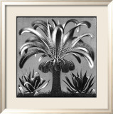 Palm, c.1933 Prints by M. C. Escher