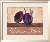 Victoria Plum Poster von Steff Green