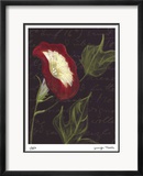 Poppy Limited Edition Framed Print by Jm Designs 
