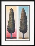 2 Zypressen Links, 1999 Posters by Folkert Rasch