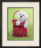 Bichon Carry-On Pósters por Carol Dillon
