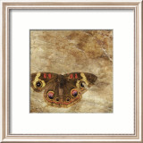 Moth Prints by Susan Friedman