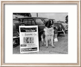 Perro a la venta Pósters Perro a la venta Pósters