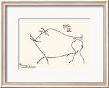 Pig Prints by Pablo Picasso