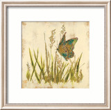 Butterfly Meadow Póster por Bella Dos Santos
