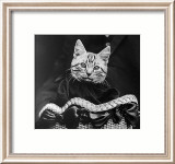 French Tabby Cat Posters par Mesh Gabriella