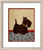 Scottish Terrier Plakater av Lanny Barnard