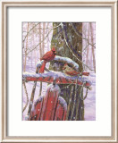 Red Sled with Cardinals Affiche par Donna Race